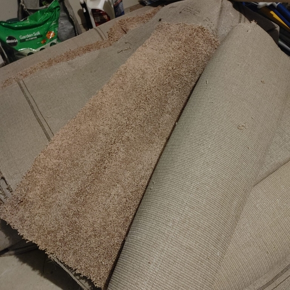 Carpet - Picture 2 of 3